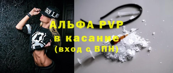 стаф Алексин