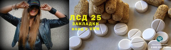 стаф Алексин