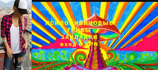 стаф Алексин